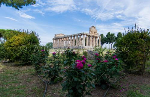 casa Marino - Foto 54