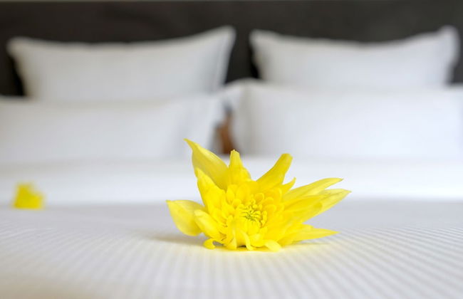 Letheshome Apartments - Foto 12