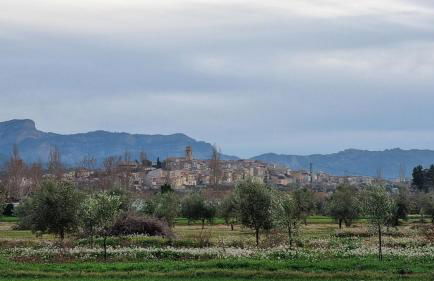 Les Valletes - Foto 16