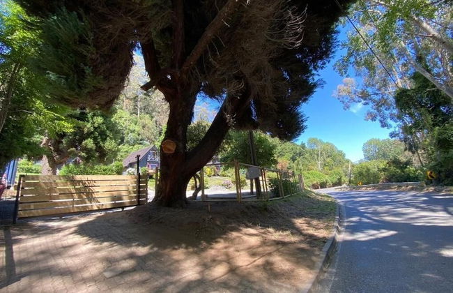 CIPRES Ecolodge & Spa - Foto 17