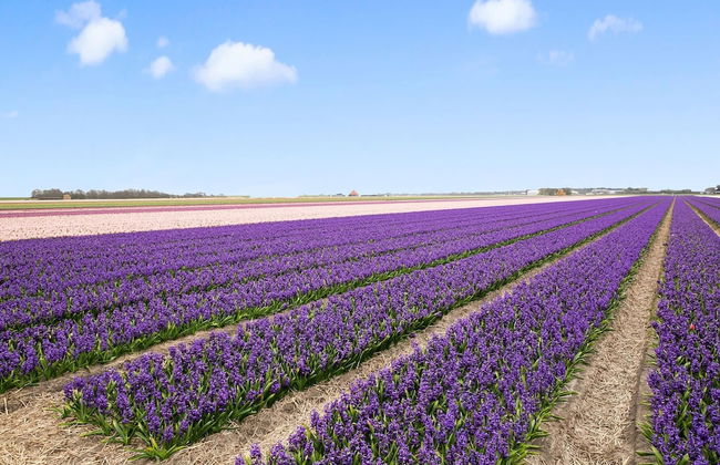 Peaceful Holiday Home in Tuitjenhorn - Photo 34