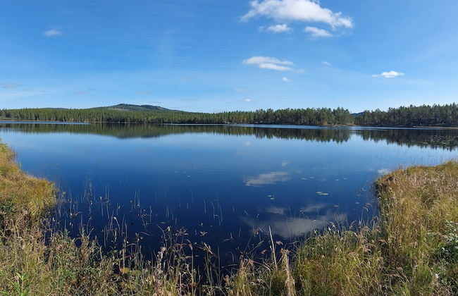 Forest Family Home - Foto 69