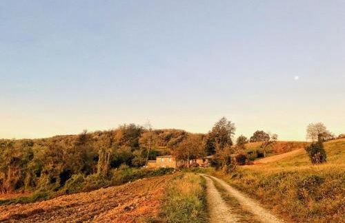 LA TANA DEL PICCHIO - Photo 11