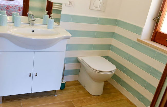 Sofia flora - Photo 61