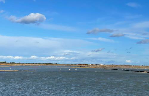 Studio indépendant tout confort pour 4 personnes 25 m carrés - Foto 31