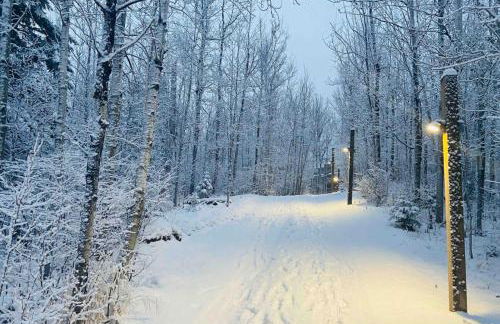 Lutsen Mtn Condo, Ski in Ski out, Pool, Hot Tub, Fitness - Foto 48