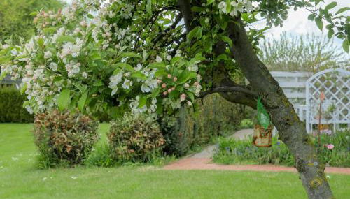 Haus Mantuja - Foto 3, Garden, Other