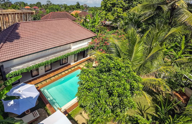 Hutan Villa by EVDEkimi - 2BR Nature lovers stay with Outdoor bath and Pool - Foto 1