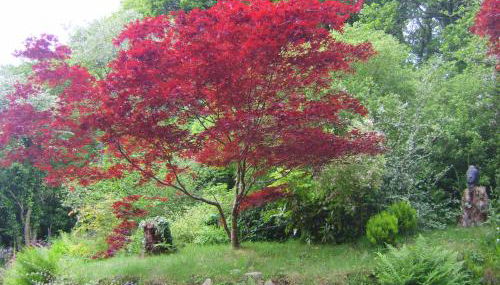 Rhyd y Brown Cottage Llys Y Fran, Clynderwen - Foto 2, Other