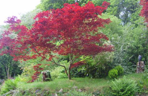 Rhyd y Brown Cottage Llys Y Fran, Clynderwen - Photo 2