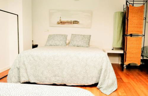 TOLETUM low cost LOFTS diáfanos o 2dormitorios PARKING Municipal Gratis al aire libre a 100m - Foto 27