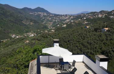 La Vivagna - Casa vista mare tra gli ulivi - Foto 22