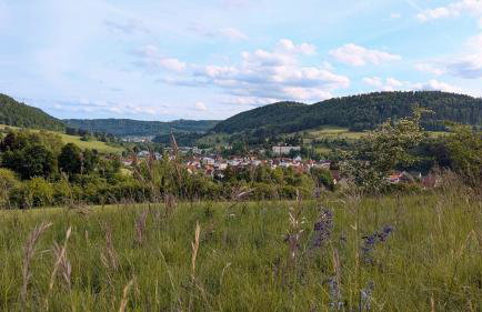 Ferienwohnung Eppler - Foto 26