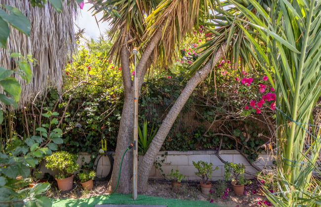 Casa Alexandra - Foto 51