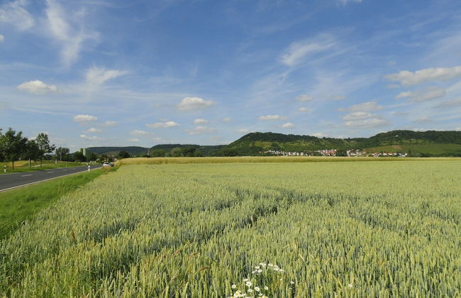 Quaint Apartment in Zeil am Main With Terrace - Foto 55