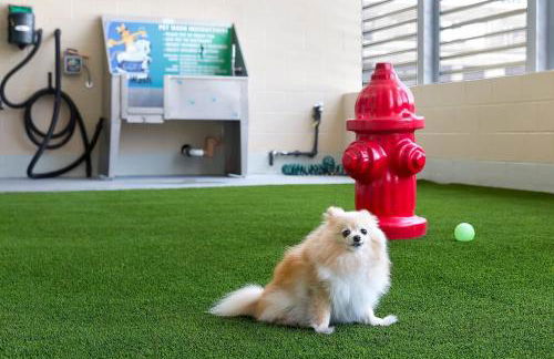 Downtown Austin 1br w gym pool wd nr Capitol ATX-166 - Foto 28