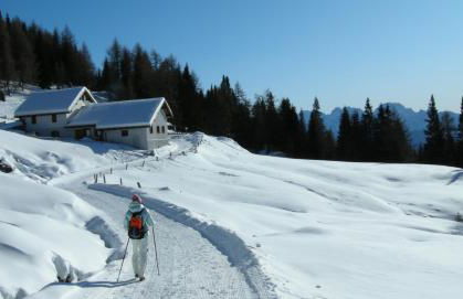 La Pineta Apartment - Photo 14