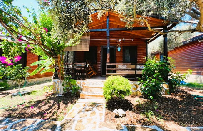 Ovabuku Ahsap Evler - Foto 43