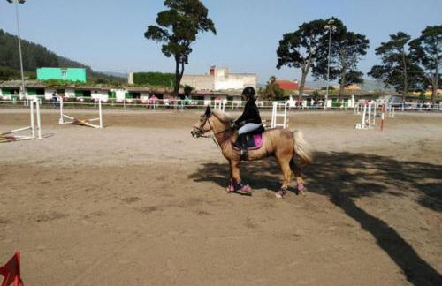 Garden Golf Tenerife - Foto 39