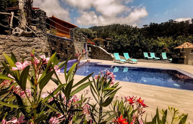 Casas Maravilha - Rvore by Homie - Foto 8