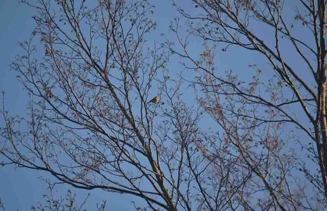 Colleverde Country House Beauty&Wellness - Foto 79