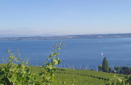 Apartment Neuweiher - Foto 32