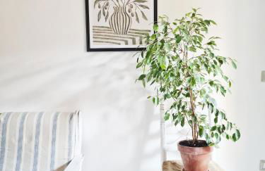 La Finestra Sui Tetti - Foto 9