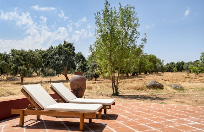 Casa do Governador - Photo 68