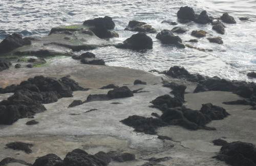 Adega Ilhéu - Photo 38