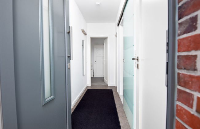 Kegelrobbe - Foto 36