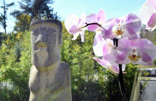 Residence Moai - Gardenview - Business Travel - kostenloser Parkplatz, WLAN, Waschtrockner, Smart TV, Qbo ESSENTIAL, ergonomischer Schreibtisch - Foto 18