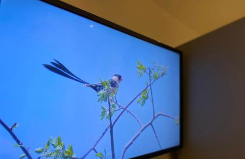 Spacious City Centre Property - Foto 45