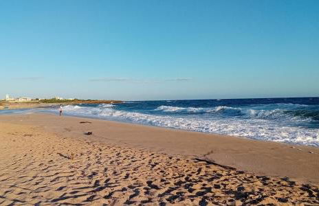 Mare Sole Vento 38A Punta Prosciutto - Foto 17