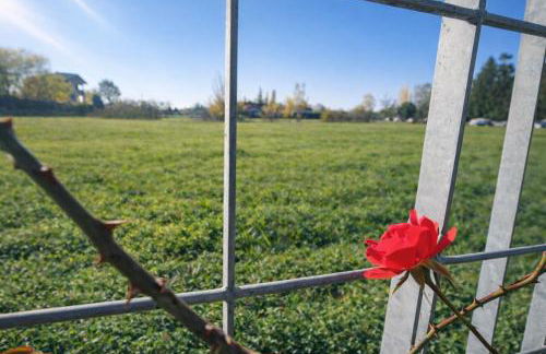 Elena's apartment - Foto 13