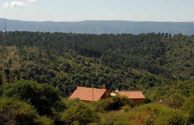 Cabañas Puerto Luna - Photo 47