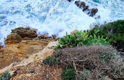 Holiday Homes Marina apartments - Foto 41