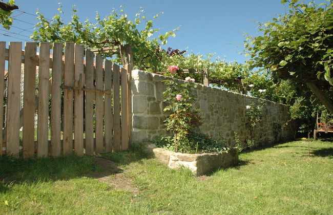 Os Migueliños - Foto 19