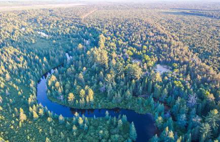 Hazel's Goose Creek Lodge - Private Riverfront! - Foto 20