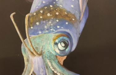 La casa dei pesci dipinti - Foto 34