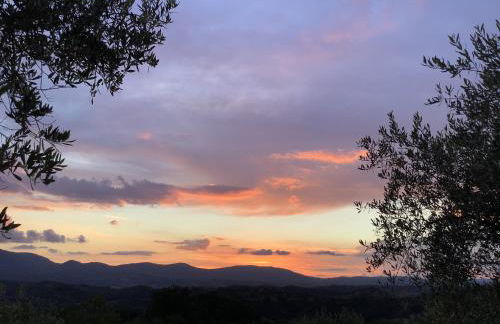 Agriturismo Podere Campiglia - Foto 21