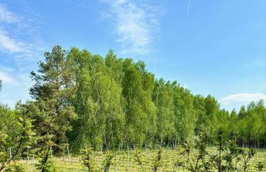 Apartamenty i Winnica - Siedlisko Na Polanie - Foto 17