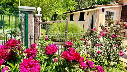 Apartman Marija - Foto 3, Garden, Garden view