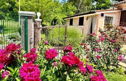 Apartman Marija - Foto 3