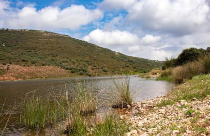 Casa Rural Valle de los Molinos - Foto 55