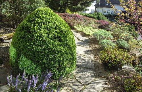 Gästehaus Heintz - Photo 28