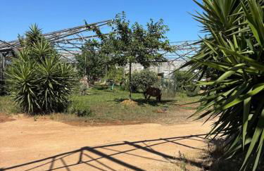 Logement atypique entre campagne et mer - Foto 17