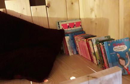 Entre-parenthèses - Foto 27