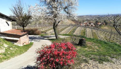 Casa Vacanze Sweet Dreams - Foto 2