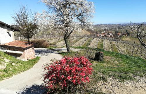 Casa Vacanze Sweet Dreams - Foto 2