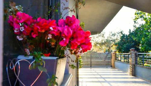 Nafpaktos Cozy Nest Homely Vibes near the Beach - Foto 4, Garden